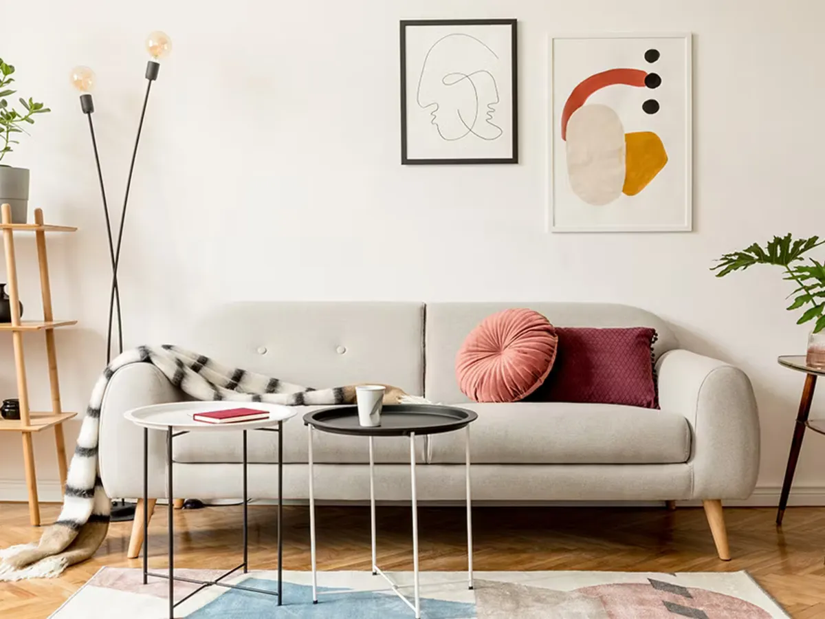A light gray sofa with decorative pillows in a comfortable living room